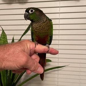 Meet your Posher, Jeff